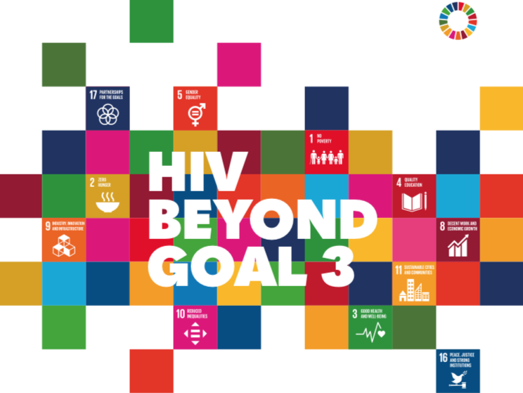 HIV Beyond Goal 3: Interconnections between HIV, Human Rights and ...